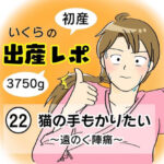 【出産レポ２２】猫の手もかりたい　〜遠のく陣痛〜