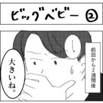 ビッグベビー②